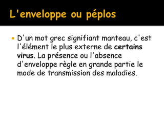 

D'un mot grec signifiant manteau, c'est
l'élément le plus externe de certains
virus. La présence ou l'absence
d'enveloppe règle en grande partie le
mode de transmission des maladies.

 