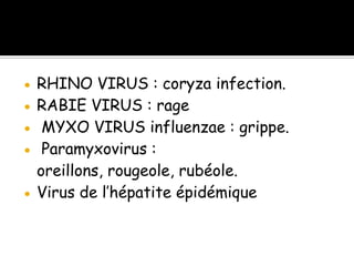 RHINO VIRUS : coryza infection.
RABIE VIRUS : rage
MYXO VIRUS influenzae : grippe.
Paramyxovirus :
oreillons, rougeole, rubéole.
Virus de l’hépatite épidémique

 