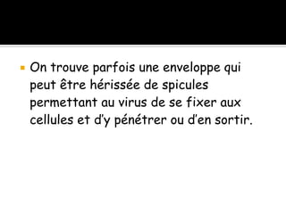 

On trouve parfois une enveloppe qui
peut être hérissée de spicules
permettant au virus de se fixer aux
cellules et d’y pénétrer ou d’en sortir.

 