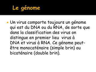 

Un virus comporte toujours un génome
qui est du DNA ou du RNA, de sorte que
dans la classification des virus on
distingue en premier lieu virus à
DNA et virus à RNA. Ce génome peutêtre monocaténaire (simple brin) ou
bicaténaire (double brin).

 