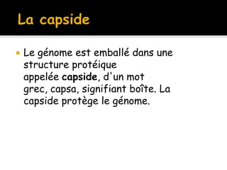 

Le génome est emballé dans une
structure protéique
appelée capside, d'un mot
grec, capsa, signifiant boîte. La
capside protège le génome.

 