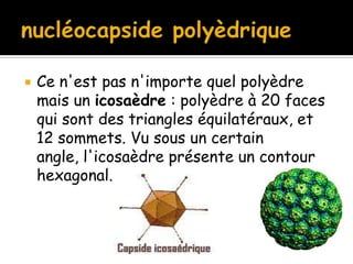 

Ce n'est pas n'importe quel polyèdre
mais un icosaèdre : polyèdre à 20 faces
qui sont des triangles équilatéraux, et
12 sommets. Vu sous un certain
angle, l'icosaèdre présente un contour
hexagonal.

 