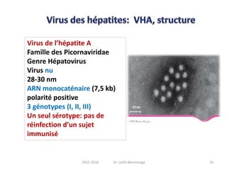 Virus de l’hépatite A
Famille des Picornaviridae
Genre Hépatovirus
Virus nu
28-30 nm
ARN monocaténaire (7,5 kb)
polarité positive
3 génotypes (I, II, III)
Un seul sérotype: pas de
réinfection d’un sujet
immunisé
102015-2016 Dr. Latifa Berrezouga
 
