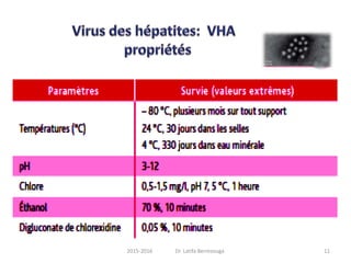 112015-2016 Dr. Latifa Berrezouga
 