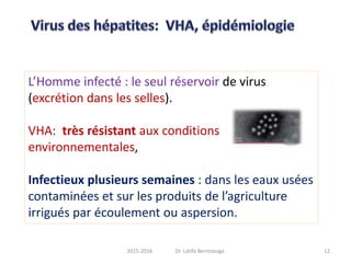 L’Homme infecté : le seul réservoir de virus
(excrétion dans les selles).
VHA: très résistant aux conditions
environnementales,
Infectieux plusieurs semaines : dans les eaux usées
contaminées et sur les produits de l’agriculture
irrigués par écoulement ou aspersion.
122015-2016 Dr. Latifa Berrezouga
 
