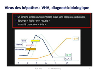 192015-2016 Dr. Latifa Berrezouga
 
