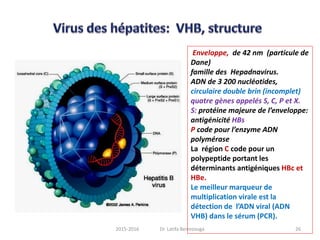 Enveloppe, de 42 nm (particule de
Dane)
famille des Hepadnavirus.
ADN de 3 200 nucléotides,
circulaire double brin (incomplet)
quatre gènes appelés S, C, P et X.
S: protéine majeure de l’enveloppe:
antigénicité HBs
P code pour l’enzyme ADN
polymérase
La région C code pour un
polypeptide portant les
déterminants antigéniques HBc et
HBe.
Le meilleur marqueur de
multiplication virale est la
détection de l’ADN viral (ADN
VHB) dans le sérum (PCR).
262015-2016 Dr. Latifa Berrezouga
 