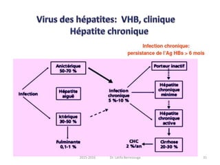 312015-2016 Dr. Latifa Berrezouga
 