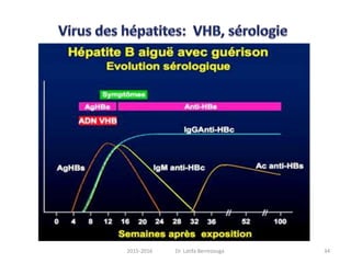 342015-2016 Dr. Latifa Berrezouga
 