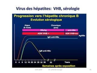 352015-2016 Dr. Latifa Berrezouga
 
