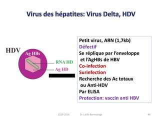 Petit virus, ARN (1,7kb)
Défectif
Se réplique par l’enveloppe
et l’AgHBs de HBV
Co-infection
Surinfection
Recherche des Ac totaux
ou Anti-HDV
Par ELISA
Protection: vaccin anti HBV
402015-2016 Dr. Latifa Berrezouga
 