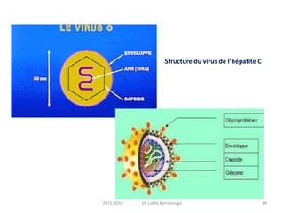 482015-2016 Dr. Latifa Berrezouga
Structure du virus de l’hépatite C
 