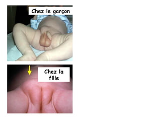 Chez le garçon




    Chez la
     fille
 