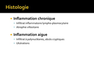  Inflammation chronique 
 Infiltrat inflammatoire lympho-plasmocytaire 
 Atrophie villositaire 
 Inflammation aigue 
 Infiltrat à polynucléaires, abcès cryptiques 
 Ulcérations 
 