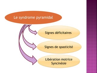 Le syndrome pyramidal

Signes déficitaires

Signes de spasticité

Libération motrice
Syncinésie

 