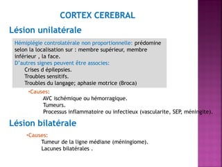CORTEX CEREBRAL
Lésion unilatérale
Hémiplégie controlatérale non proportionnelle: prédomine
selon la localisation sur : membre supérieur, membre
inférieur , la face.
D’autres signes peuvent être associes:
Crises d épilepsies.
Troubles sensitifs.
Troubles du langage; aphasie motrice (Broca)

•Causes:
AVC ischémique ou hémorragique.
Tumeurs.
Processus inflammatoire ou infectieux (vascularite, SEP, méningite).

Lésion bilatérale
•Causes:
Tumeur de la ligne médiane (méningiome).
Lacunes bilatérales .

 