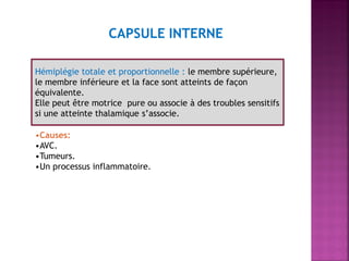 CAPSULE INTERNE
Hémiplégie totale et proportionnelle : le membre supérieure,
le membre inférieure et la face sont atteints de façon
équivalente.
Elle peut être motrice pure ou associe à des troubles sensitifs
si une atteinte thalamique s’associe.
•Causes:
•AVC.
•Tumeurs.
•Un processus inflammatoire.

 