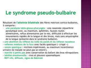 Le syndrome pseudo-bulbaire
Résultant de l'atteinte bilatérale des fibres motrices cortico-bulbaires,
il comporte :
- une paralysie labio-glosso-pharyngée : voix nasonnée (dysarthrie
paralytique avec, au maximum, aphémie), fausses routes
alimentaires, reflux alimentaires par le nez, difficulté à effectuer les
mouvements rapides de la langue et des lèvres, mais sans amyotrophie
de la langue (présente dans le syndrome bulbaire).
- une abolition du réflexe du voile du palais et du réflexe nauséeux
- reflexes médians de la face avec faciès spastique (« crispé »)
- vessie spastique : mictions impérieuses, au maximum incontinence
urinaire (le malade ne peut pas se retenir).
- marche à petits pas avec conservation du ballant des bras rétropulsions
- labilité émotionnelle : rires et pleurers spasmodiques
- ROT vifs, diffusés, signe de Babinski

 