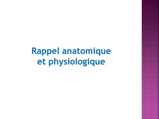 Rappel anatomique
et physiologique

 
