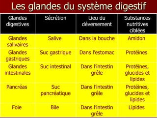 Les glandes du système digestif Lipides  Dans l’intestin grêle Bile  Foie  Protéines, glucides et lipides Dans l’intestin grêle Suc pancréatique Pancréas  Protéines, glucides et lipides Dans l’intestin grêle Suc intestinal Glandes intestinales Protéines  Dans l’estomac Suc gastrique Glandes gastriques Amidon  Dans la bouche Salive  Glandes salivaires Substances nutritives ciblées Lieu du déversement Sécrétion Glandes digestives 