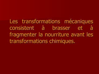Les transformations mécaniques consistent à brasser et à fragmenter la nourriture avant les transformations chimiques. 