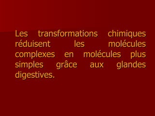 Les transformations chimiques réduisent les molécules complexes en molécules plus simples grâce aux glandes digestives. 