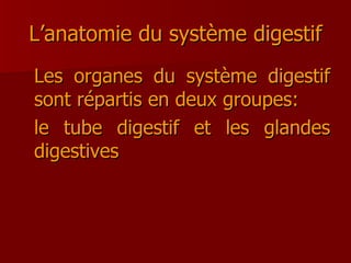 L’anatomie du système digestif Les organes du système digestif sont répartis en deux groupes:  le tube digestif et les glandes digestives 