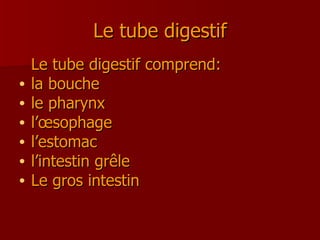 Le tube digestif Le tube digestif comprend: la bouche le pharynx l’œsophage l’estomac l’intestin grêle Le gros intestin 