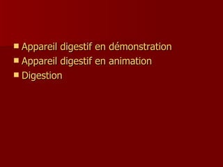 Appareil digestif en démonstration Appareil digestif en animation Digestion 