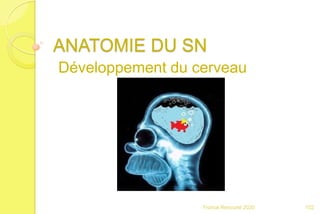 ANATOMIE DU SN
Développement du cerveau
102Franck Rencurel 2020
 