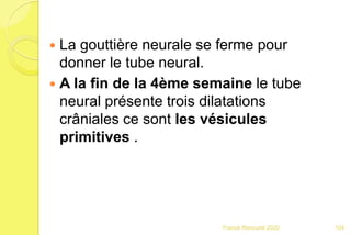  La gouttière neurale se ferme pour
donner le tube neural.
 A la fin de la 4ème semaine le tube
neural présente trois dilatations
crâniales ce sont les vésicules
primitives .
104Franck Rencurel 2020
 