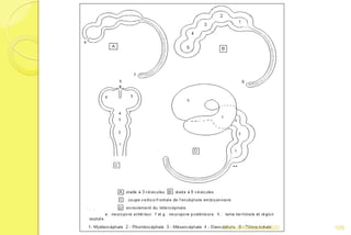 109Franck Rencurel 2020
 