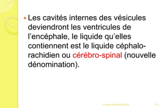  Les cavités internes des vésicules
deviendront les ventricules de
l’encéphale, le liquide qu’elles
contiennent est le liquide céphalo-
rachidien ou cérébro-spinal (nouvelle
dénomination).
111Franck Rencurel 2020
 