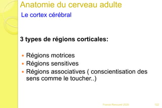 Anatomie du cerveau adulte
Le cortex cérébral
3 types de régions corticales:
 Régions motrices
 Régions sensitives
 Régions associatives ( conscientisation des
sens comme le toucher..)
122Franck Rencurel 2020
 