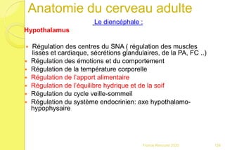 Anatomie du cerveau adulte
Le diencéphale :
Hypothalamus
 Régulation des centres du SNA ( régulation des muscles
lisses et cardiaque, sécrétions glandulaires, de la PA, FC ..)
 Régulation des émotions et du comportement
 Régulation de la température corporelle
 Régulation de l’apport alimentaire
 Régulation de l’équilibre hydrique et de la soif
 Régulation du cycle veille-sommeil
 Régulation du système endocrinien: axe hypothalamo-
hypophysaire
124Franck Rencurel 2020
 