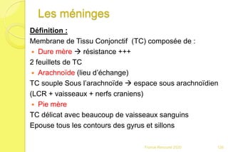 Les méninges
Définition :
Membrane de Tissu Conjonctif (TC) composée de :
 Dure mère  résistance +++
2 feuillets de TC
 Arachnoïde (lieu d’échange)
TC souple Sous l’arachnoïde  espace sous arachnoïdien
(LCR + vaisseaux + nerfs craniens)
 Pie mère
TC délicat avec beaucoup de vaisseaux sanguins
Epouse tous les contours des gyrus et sillons
126Franck Rencurel 2020
 