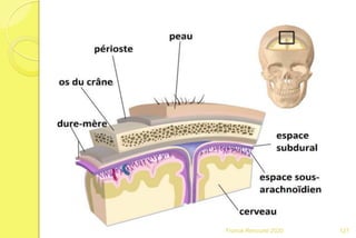 Franck Rencurel 2020 127
 
