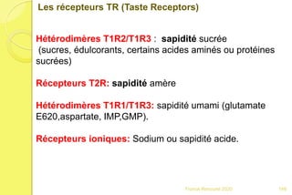 Franck Rencurel 2020
Les récepteurs TR (Taste Receptors)
Hétérodimères T1R2/T1R3 : sapidité sucrée
(sucres, édulcorants, certains acides aminés ou protéines
sucrées)
Récepteurs T2R: sapidité amère
Hétérodimères T1R1/T1R3: sapidité umami (glutamate
E620,aspartate, IMP,GMP).
Récepteurs ioniques: Sodium ou sapidité acide.
149
 