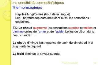 Franck Rencurel 2020
Les sensibilités somesthésiques
Thermorécepteurs
Papilles fungiformes (bout de la langue)
Les Thermorécepteurs modulent aussi les sensations
gustatives.
EX: Le chaud augmente les sensations sucrées et salées et
diminue celles de l’amer et de l’acide. Le jus de citron dans
l’eau chaude…..
Le chaud diminue l’astringence (le tanin du vin chaud !) et
augmente le piquant.
Le froid diminue la saveur sucrée.
158
 