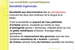 Franck Rencurel 2020
Les sensibilités somesthésiques
Sensibilité trigéminale .
Sensibilité peu discriminative liée au nerf trijumeau
innervant les deux tiers antérieur de la langue et le
palais.
C’est la sensibilité au piquant de l’eau pétillante,
d’irritants (poivre, moutarde qui monte au nez),
d’astringents (poires « farineuses, d’âpreté (tanin du vin),
de goûts métalliques (Cresson, fromages bleus,
saccharine)
Sensation de resserrement des gencives avec les noix
Certaines sensations de « brulure » (piment),
de chaleur (alcools forts),de fraicheur (pastilles de menthe).
159
 
