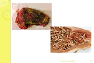 Franck Rencurel 2020 165
 