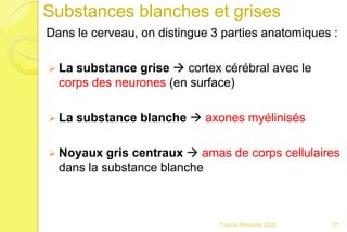 Substances blanches et grises
Dans le cerveau, on distingue 3 parties anatomiques :
 La substance grise  cortex cérébral avec le
corps des neurones (en surface)
 La substance blanche  axones myélinisés
 Noyaux gris centraux  amas de corps cellulaires
dans la substance blanche
37Franck Rencurel 2020
 