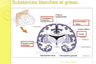 Franck Rencurel 2020 38
Substances blanches et grises
 