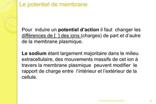 Franck Rencurel 2020 45
Le potentiel de membrane
Pour induire un potentiel d’action il faut changer les
différences de [ ] des ions (charges) de part et d’autre
de la membrane plasmique.
Le sodium étant largement majoritaire dans le milieu
extracellulaire, des mouvements massifs de cet ion à
travers la membrane plasmique peuvent modifier le
rapport de charge entre l’intérieur et l’extérieur de la
cellule.
 