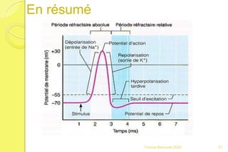 Franck Rencurel 2020 51
En résumé
 