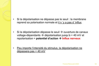 • Si la dépolarisation ne dépasse pas le seuil : la membrane
reprend sa polarisation normale et il n ’y a pas d ’influx.
• Si la dépolarisation dépasse le seuil  ouverture de canaux
voltage-dépendants  dépolarisation jusqu’à + 40 mV et
repolarisation = potentiel d’action  Influx nerveux
• Peu importe l’intensité du stimulus, la dépolarisation ne
dépassera pas + 40 mV
53Franck Rencurel 2020
 