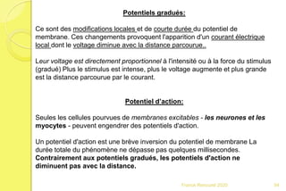 Franck Rencurel 2020 54
Potentiels gradués:
Ce sont des modifications locales et de courte durée du potentiel de
membrane. Ces changements provoquent l'apparition d'un courant électrique
local dont le voltage diminue avec la distance parcourue..
Leur voltage est directement proportionnel à l'intensité ou à la force du stimulus
(gradué) Plus le stimulus est intense, plus le voltage augmente et plus grande
est la distance parcourue par le courant.
Potentiel d’action:
Seules les cellules pourvues de membranes excitables - les neurones et les
myocytes - peuvent engendrer des potentiels d'action.
Un potentiel d'action est une brève inversion du potentiel de membrane La
durée totale du phénomène ne dépasse pas quelques millisecondes.
Contrairement aux potentiels gradués, les potentiels d'action ne
diminuent pas avec la distance.
 