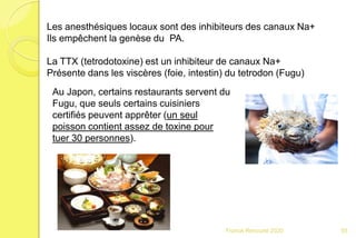 Au Japon, certains restaurants servent du
Fugu, que seuls certains cuisiniers
certifiés peuvent apprêter (un seul
poisson contient assez de toxine pour
tuer 30 personnes).
Les anesthésiques locaux sont des inhibiteurs des canaux Na+
Ils empêchent la genèse du PA.
La TTX (tetrodotoxine) est un inhibiteur de canaux Na+
Présente dans les viscères (foie, intestin) du tetrodon (Fugu)
55Franck Rencurel 2020
 