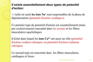 Il existe essentiellement deux types de potentiel
d'action:
1- Celui où seuls les ions Na+ sont responsables de la phase de
dépolarisation (potentiel d'action «sodique»)
Ce premier type de potentiel d'action est essentiellement (mais
pas exclusivement) rencontré dans les axones et les fibres
musculaires squelettiques
2-Celui dans lequel les ions Ca2+ ont aussi un rôle (potentiel
d'action «sodico-calcique» ou potentiel d'action à plateau
calcique).
Ce second type est rencontré dans les fibres musculaires
cardiaques et lisses
58Franck Rencurel 2020
 