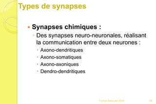 Types de synapses
 Synapses chimiques :
◦ Des synapses neuro-neuronales, réalisant
la communication entre deux neurones :
 Axono-dendritiques
 Axono-somatiques
 Axono-axoniques
 Dendro-dendritiques
64Franck Rencurel 2020
 